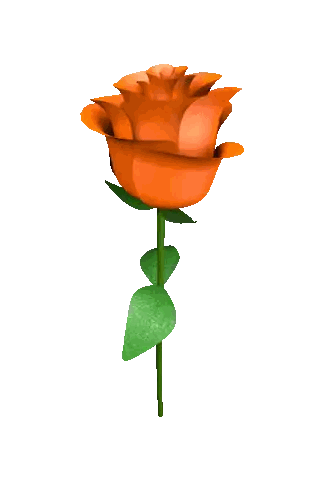 Orange Rose with Green Stem and Leaves