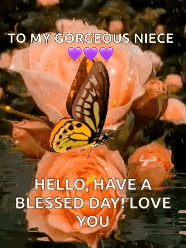 Orange Roses Good Morning Have A Blessed Day GIF