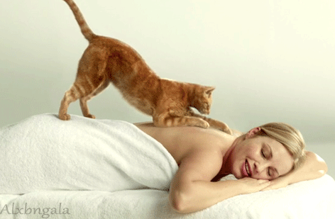 Orange Tabby Kitty Giving Massages GIF