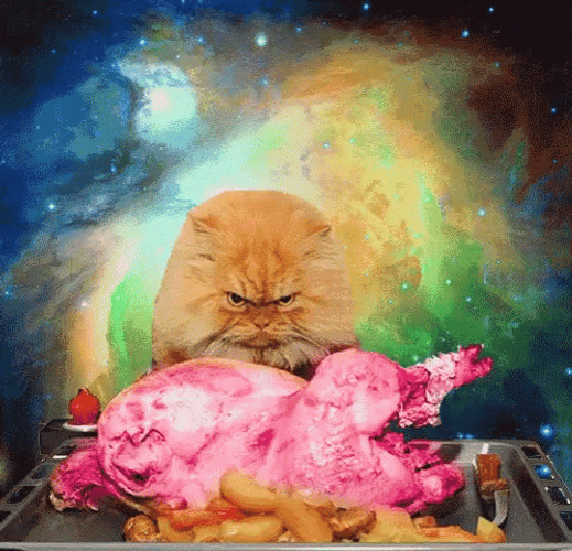 Orange Thanksgiving Cat Staring At Color-Changing Turkey GIF