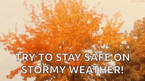 Orange Tree Saying Try To Stay Safe On Stormy Weather