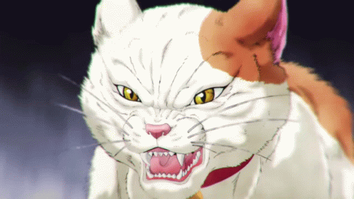 Orange White Cat with Yellow Eyes