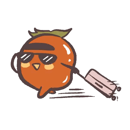 Orange with Sunglasses and Suitcase