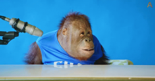Orangutan Flipping The Table GIF