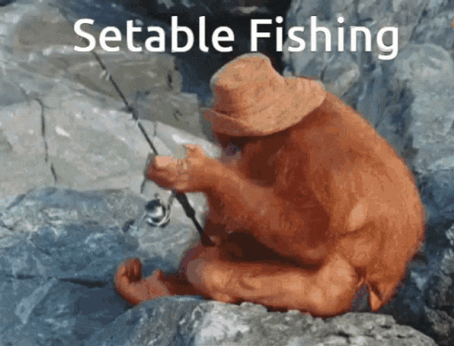 Orangutan Funny Fishing GIF