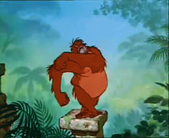 Orangutan Standing On Rock GIF