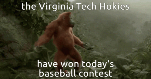 Orangutan With Caption Virginia Tech Hokies Won Today's Baseball Contest