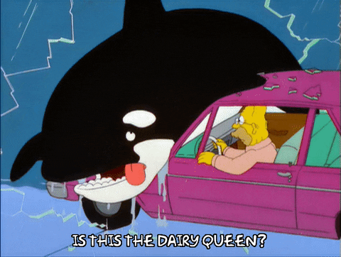 Orca And The Simpsons GIF