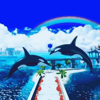 Orca Couple On Rainbow GIF