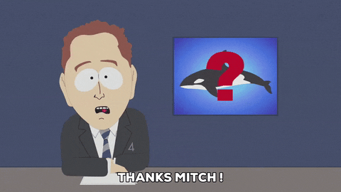 Orca On The News GIF