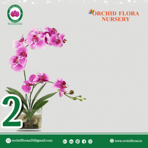 Orchid Flora Nursery Wishes You Happy New Year 2021 GIF