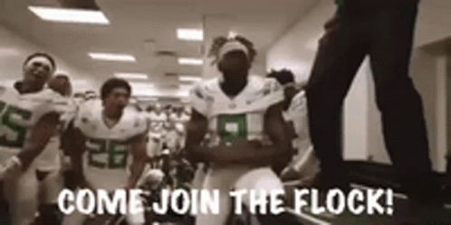 Oregon Ducks Come Join The Flock GIF