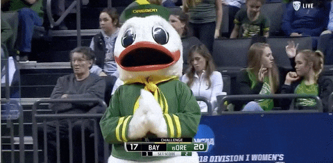 Oregon Ducks Mascot Puddles Applauding GIF