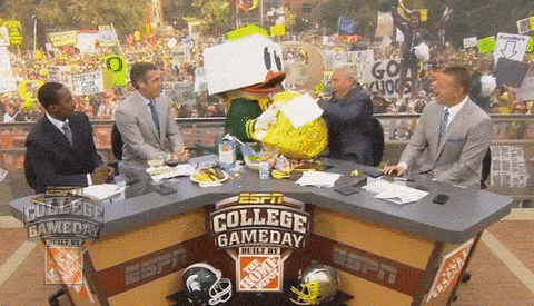 Oregon Ducks Puddles Getting Wild GIF