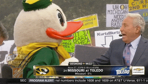 Oregon Ducks Puddles Playful Fight GIF