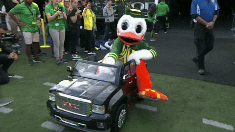 Oregon Ducks Puddles Riding Toy Car GIF