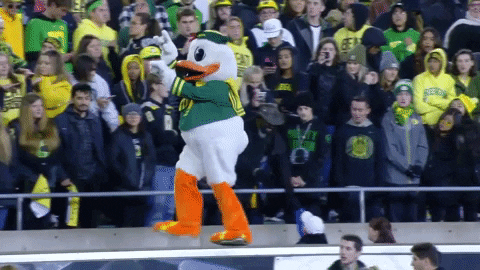 Oregon Mascot Puddles Having Fun With Crowd GIF