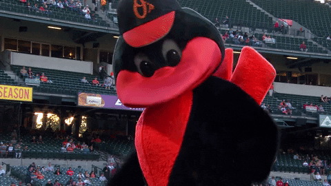 Orioles Mascot Being Jolly GIF