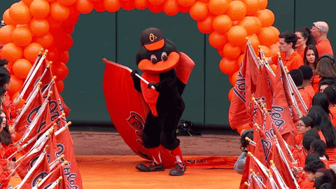 Orioles Mascot Enters The Feild With Pride GIF
