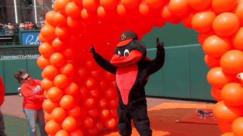 Orioles Mascot Grand Entrance GIF