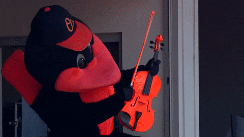 Orioles Mascot Playing Violin GIF