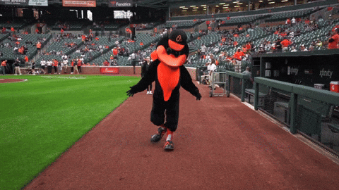 Orioles Mascot Proudly Walking On The Field GIF