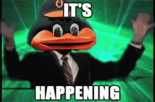 Orioles Win Mascot Its Happening GIF