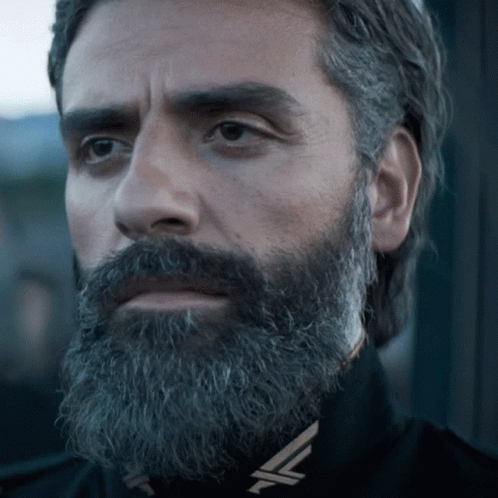 Oscar Isaac Dune GIF