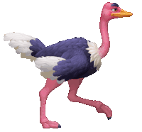 Ostrich Gif Ii Sticker GIF