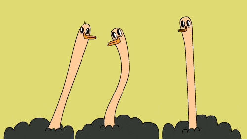 Ostrich Having Funny Chitchat GIF