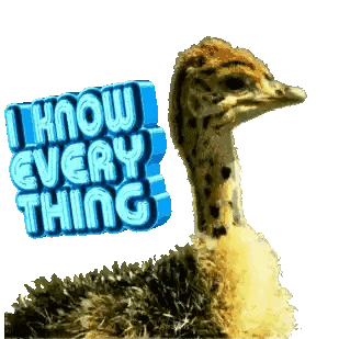 Ostrich Holding I Know Everything Sign