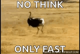 Ostrich Running in Desert No Think Only Fast