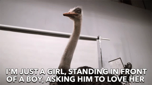 Ostrich Saying I'm Just A Girl Standing In Front Of A Boy GIF