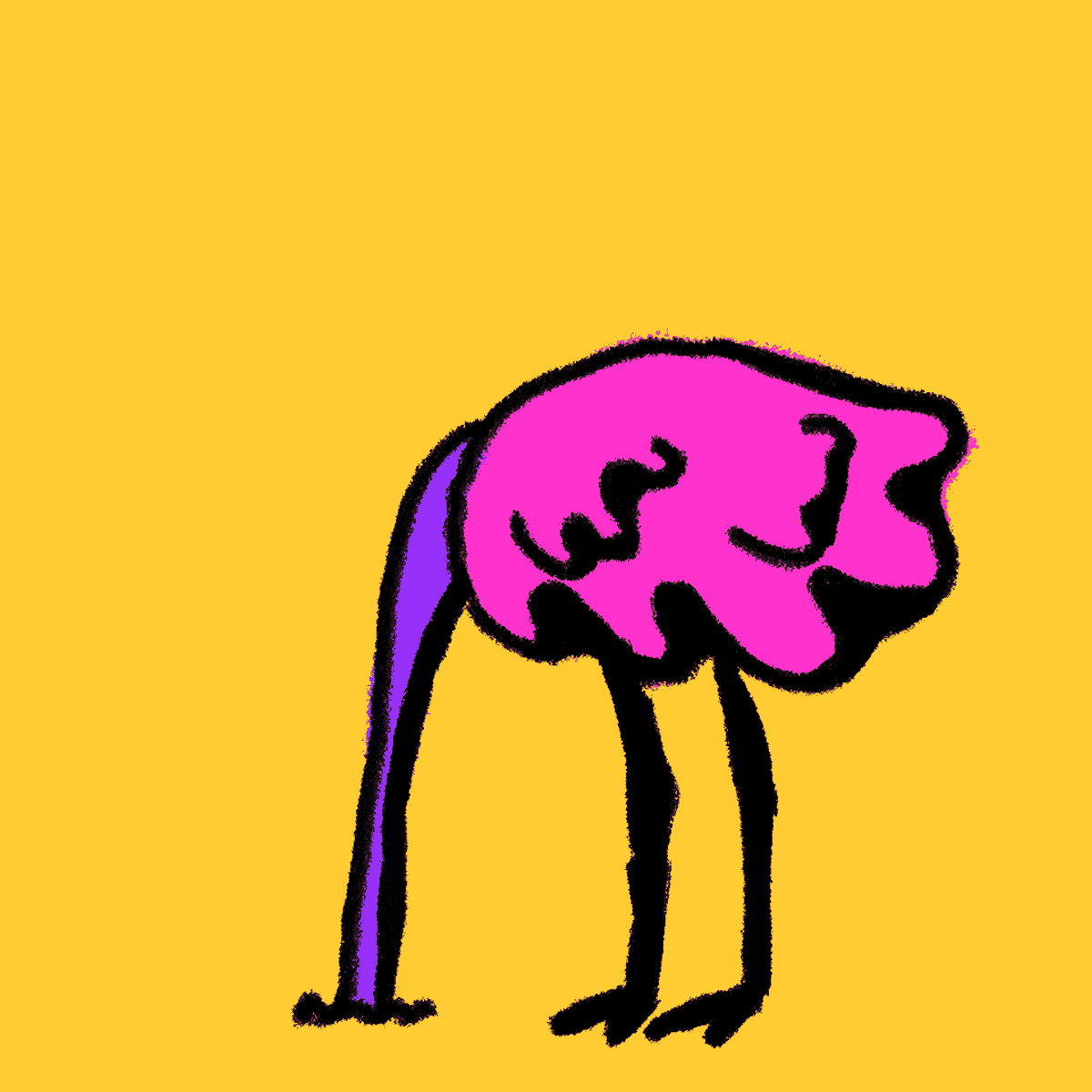 Ostrich Searching For Food On Ground GIF