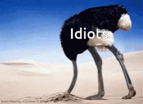 Ostrich Standing In Sand Saying Idiots GIF