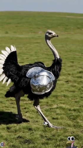 Ostrich Wearing Helmet And Armor In Field GIF