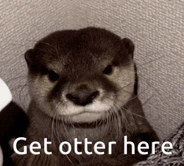 Otter Saying Get Otter Here