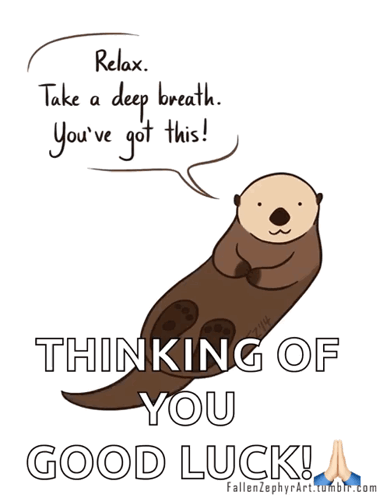 Otter Saying Relax Take a Deep Breath You've Got This Good Luck