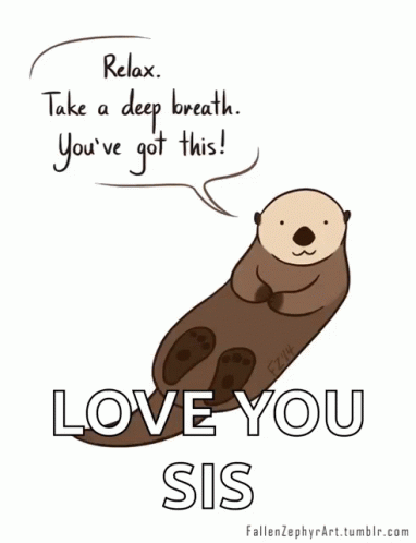 Otter Says Relax Take a Deep Breath You've Got This Love You Sis
