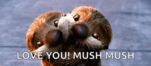 Otters Hugging With Love You Mush Mush