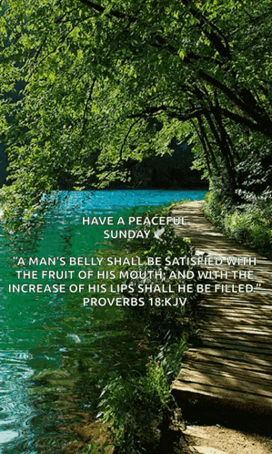 Our Earth Lake Gif GIF