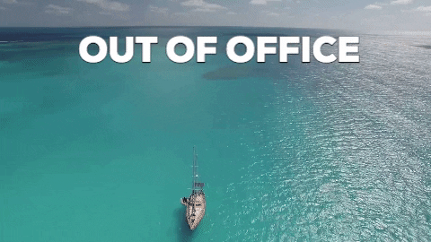 Out Of Office Aerial Sea View GIF