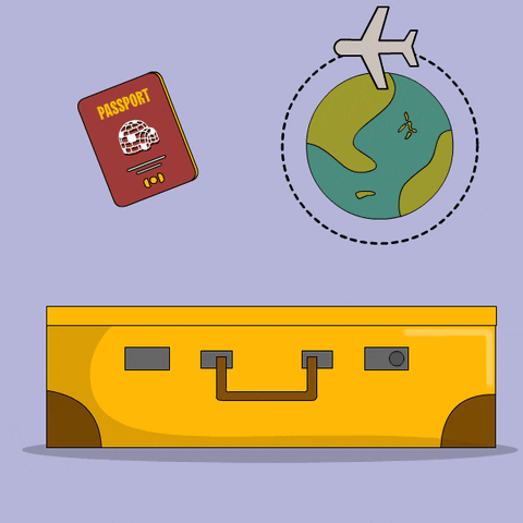 Out Of Office Pudgy Penguin Getting Inside Suitcase GIF