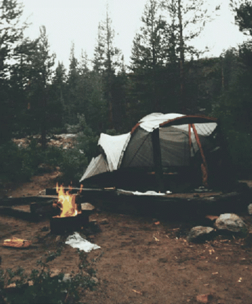 Outdoor Camping Image Compilation GIF
