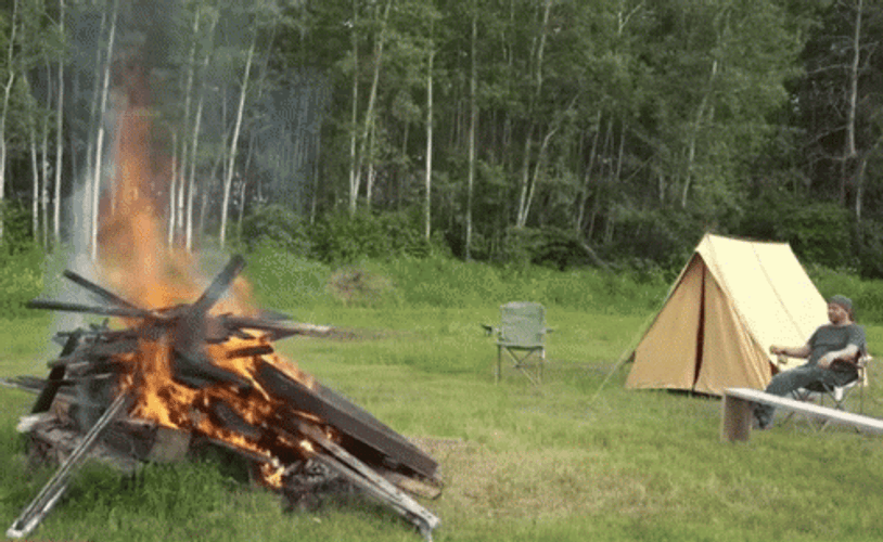 Outdoor Woods Camping Bonfire GIF