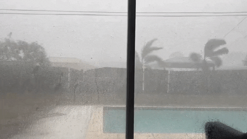 Outside Window Rainy Tuesday GIF