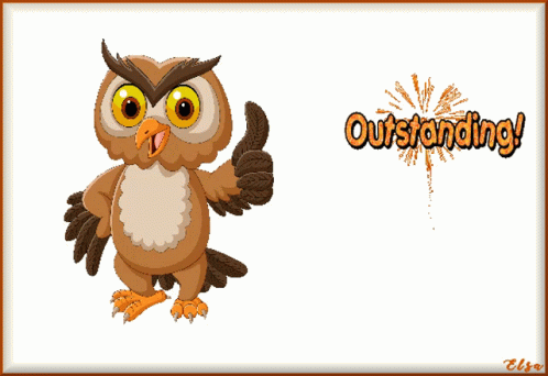 Outstanding Owl Cartoon GIF