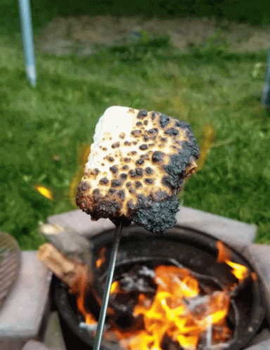 Over Roasted Burnt Marshmallow Open Fire GIF
