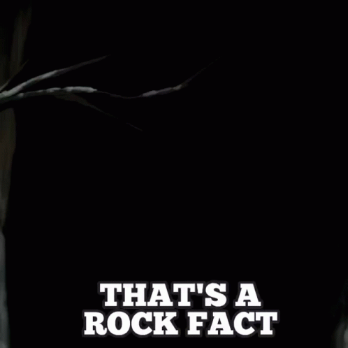 Over The Garden Wall That's A Rock Fact GIF