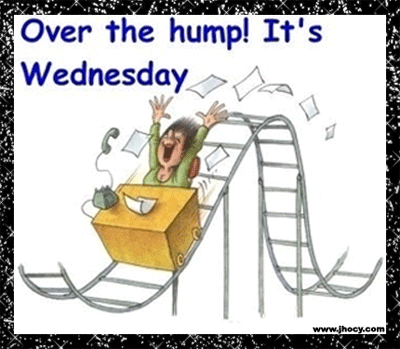 Over The Hump Its Wednesday GIF
